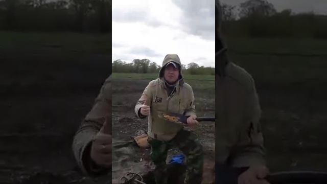 17 Золотых Монет!!! ПРЯМАЯ ТРАНСЛЯЦИЯ смотреть онлайн