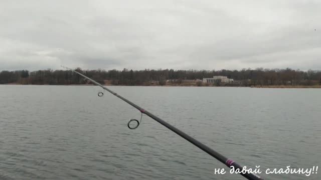 Дудергофское озеро рыбалка 2020! Плотва на спиннинг! смотреть онлайн