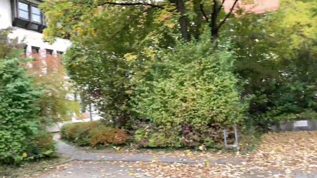 Ulm And Neu-Ulm Germany During Autumn