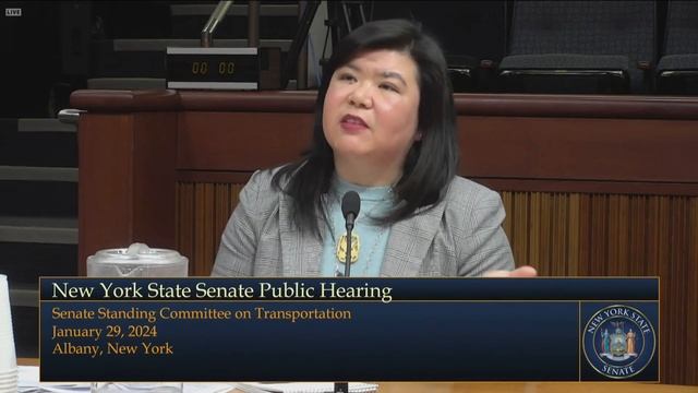 High-Speed Rail Hearing Raises More Questions смотреть онлайн