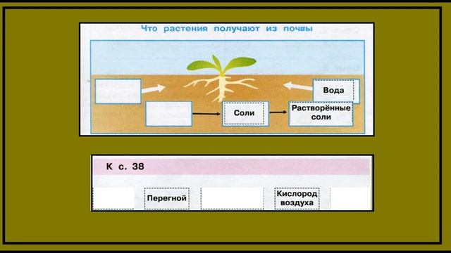 Что такое почва 5 задание. Окружающий мир 3 класс рабочая тетрадь. Схема смотреть онлайн