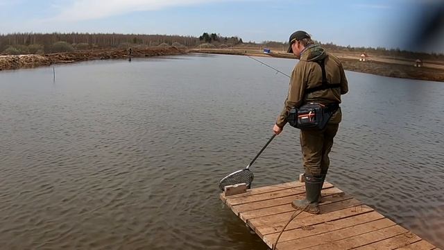 Спиннинг в дугу. Вот это рыба. Ловля форели на платнике. смотреть онлайн