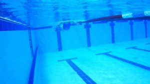 Техника плавания брасс - кроль