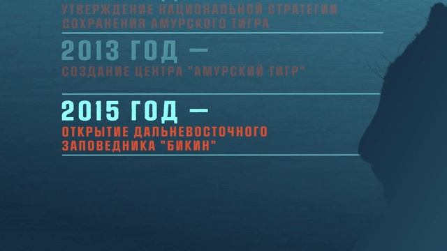 ТАСС: Спасём амурского тигра! #COP15 #ActionForNature #CGTNнарусскомStudio смотреть онлайн