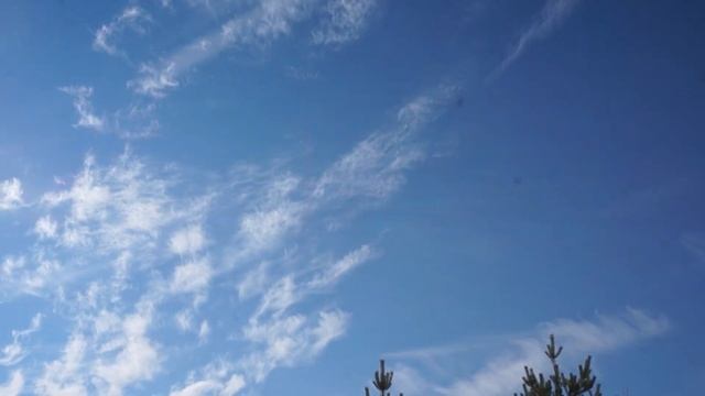 Музыка, звучащая во мне ... стихи А.Шведун, видео О.Дзиов смотреть онлайн