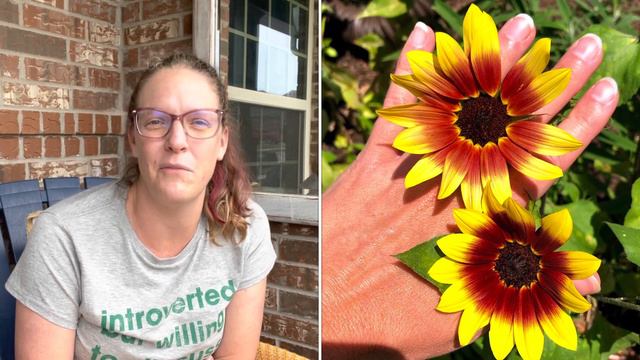 🌻 6 Tips To Grow Sunflowers || How To Grow Sunflowers || Cut Flower Garden смотреть онлайн