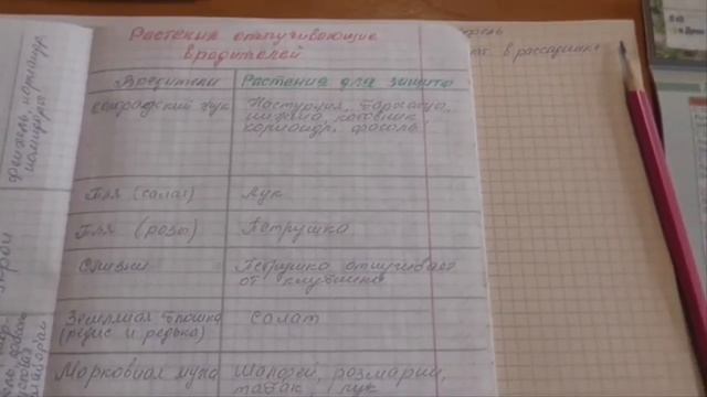ВАЖНОЕ! Планирование. Как облегчить свои садово - огородные работы. смотреть онлайн