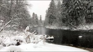 #75. Продолжаем строить. Встречаем зиму. [Жизнь на своей земле]