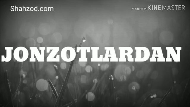 99%одамлар бу топишмокни тополмайди узизни синаб куринг жудда кийин топишмок смотреть онлайн