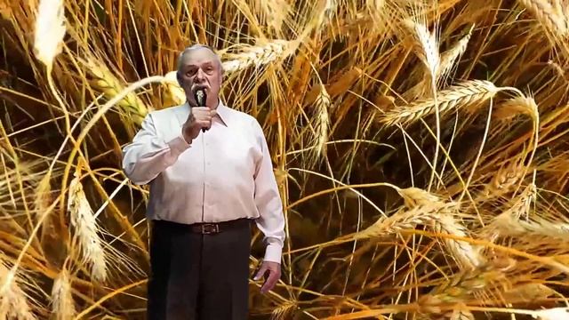 Алексей Алексеев - Хлеба налево, хлеба направо...