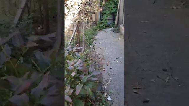 200 км от Ростова находится моя родная деревня. Приехал тёте помочь смотреть онлайн