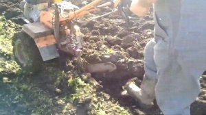 Вспашка огорода мотоблоком. Как настроить плуг.