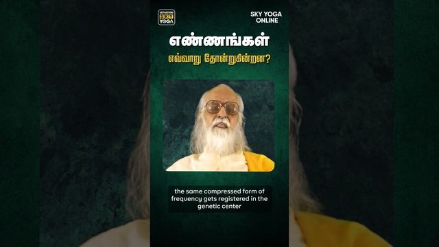 5 in 1 with Infinite Possibilities | ஐந்தில் ஒன்றா (5 in 1) смотреть онлайн