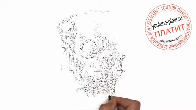 Нарисованные карандашом олени Как нарисовать поэтапно лупоглазого пса мутанта смотреть онлайн