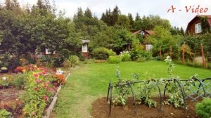 ?Обустройство простых садовых участков 77 Недорогих и Бюджетных идей / Cheap garden ideas/ A - Vide