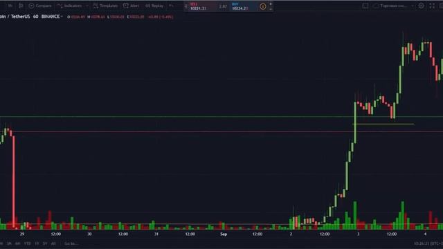 Биткоин. Аналитика от 9 Сентября + Разбор последних сделок смотреть онлайн