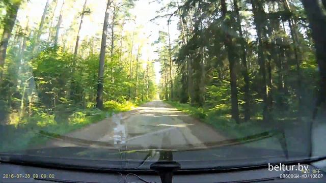 Туристический комплекс Дудинка-Сити - проезд, Отдых в Беларуси смотреть онлайн