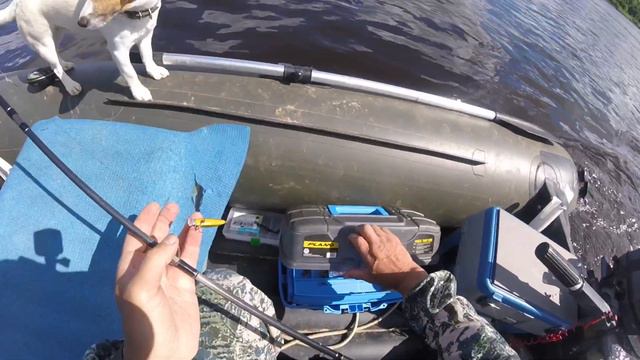 Ловля на спиннинг ЖЕРЕХА,ГОЛАВЛЯ и СЕБЯ!! смотреть онлайн