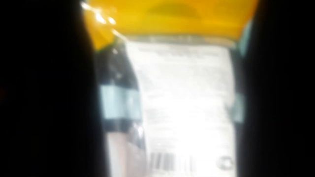 Купили Мини -пиг? Реакция Мухтара? на свинку?? смотреть онлайн