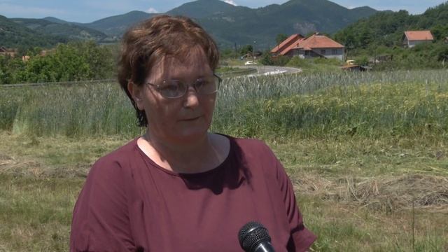 Pašnjaci Odličan  Izvor Lako Pristupačnih Hranjljivih Trava, Visoke Biološke Vrednosti