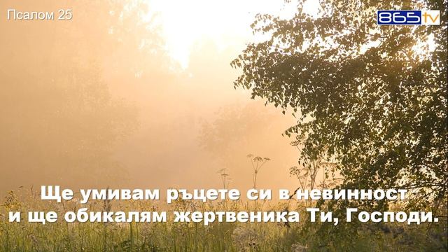Псалом 25 смотреть онлайн