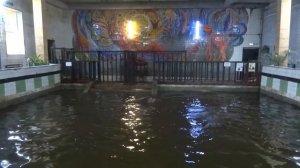 Бегемоты в зоопарке Калининграда