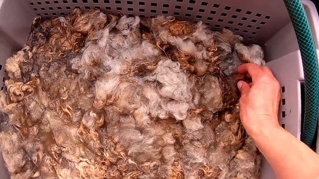 Моем шерсть - немного модернизации смотреть онлайн