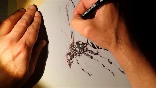 wasp time lapse sketch psdelux смотреть онлайн