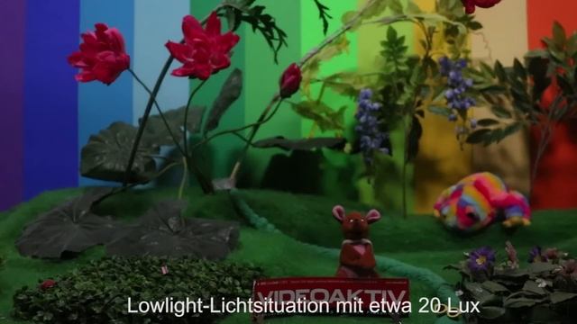 Test: Canon EOS M3, Canon 760D und Panasonic Lumix DMC-G 70 смотреть онлайн