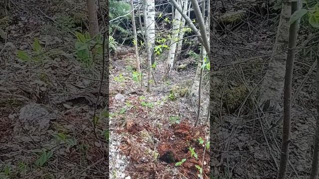 НА МОТОБЛОКЕ ЗА ЖЕЛЕЗОМ! смотреть онлайн