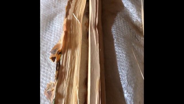 Выбор сосны для плетения короба смотреть онлайн