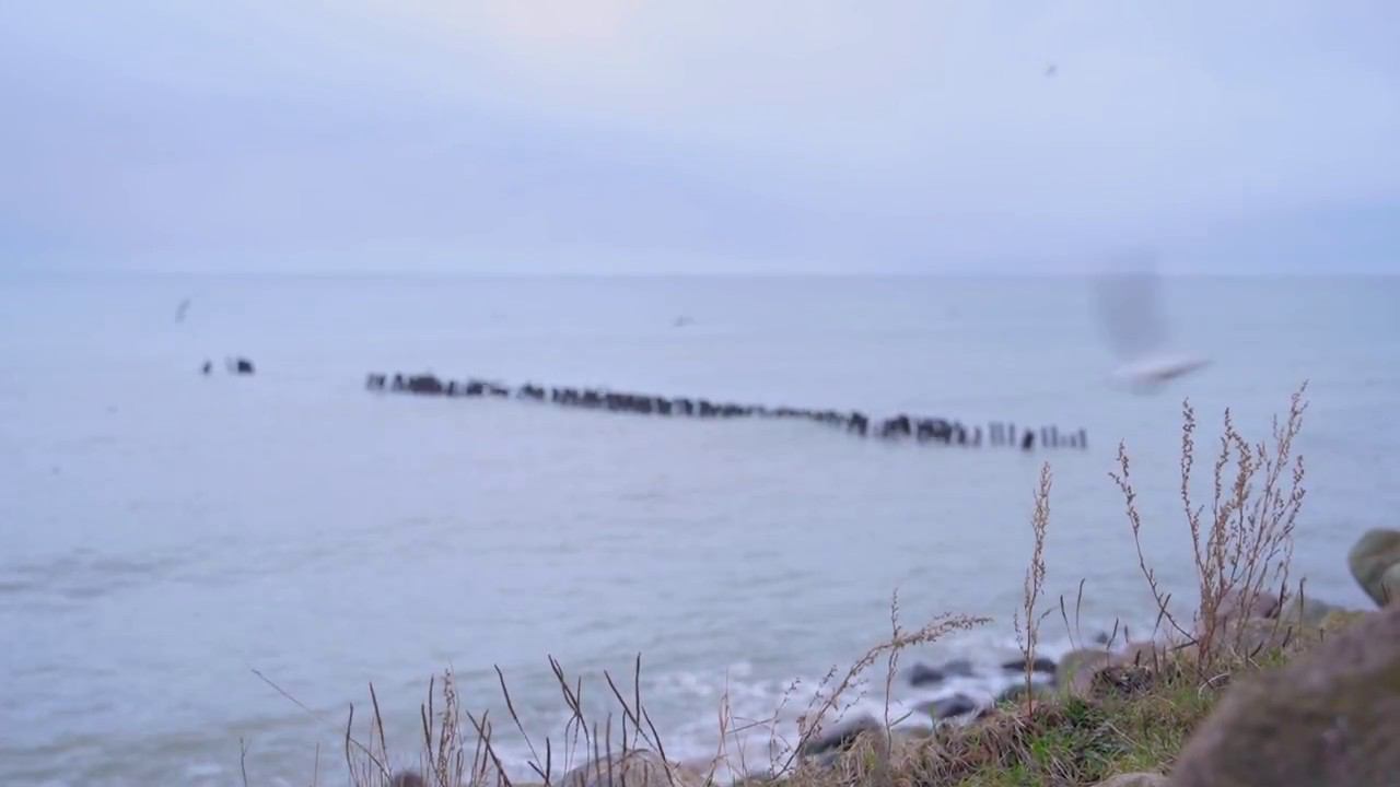 Превью ЖК "РАУШЕН ПАРК" смотреть онлайн