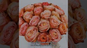 Роза Кахала (Kahala)