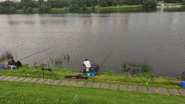 Рыбалка река москва, Марьино, 20.06.2020 смотреть онлайн