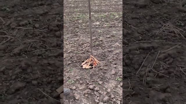 ПРИЗРАК УБИТОГО СОЛДАТА - 2 СЕРИЯ смотреть онлайн