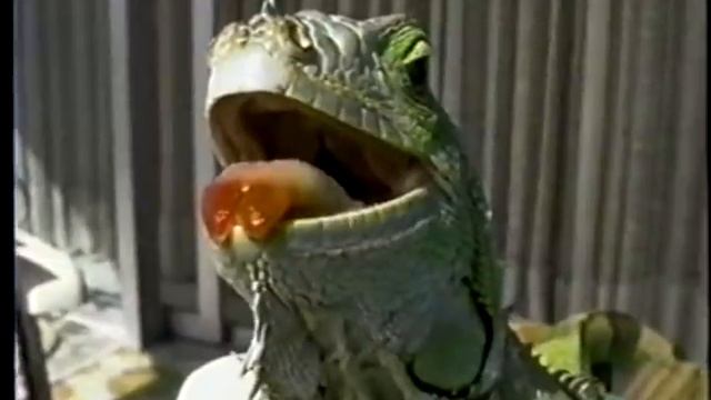 Big Mouth Iguana смотреть онлайн