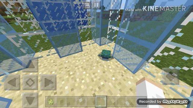 Морские черепахи/Dasha Galaxy смотреть онлайн