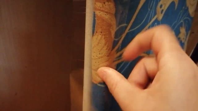 ГЕНИАЛЬНЫЙ МЕТОД//Как отучить кошку гадить в неположенном месте,и портить мебель смотреть онлайн