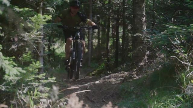 Silverback PRO CF-Best Price to Performance to weight ratio смотреть онлайн