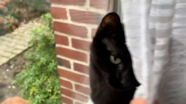 J'AI TESTÉ LE MICROBLADING 😱💉 (le Avant/après Est Ouf)