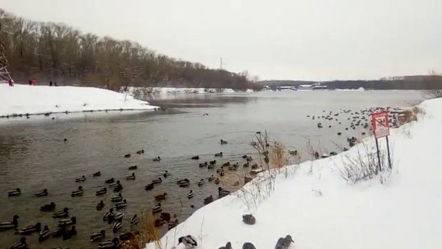 Уфа летняя рыбалка зимой на теплом озере смотреть онлайн