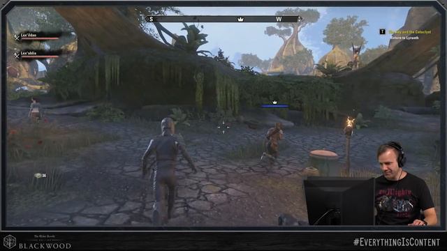 #EverythingIsContent - Elder Scrolls Online: Blackwood Part 4 | An Apocalyptic Situation смотреть онлайн