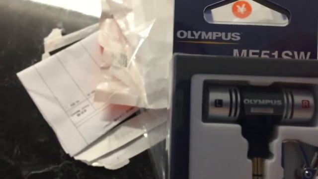 GoPro Hero4 Olympus Mic Setup смотреть онлайн
