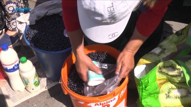 Скільки коштує волинська чорниця на ринку смотреть онлайн