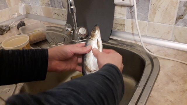 Как отличить самца от самки сельди и выбрать рыбу с икрой. смотреть онлайн