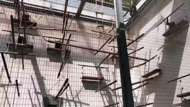 wilhelma zoologisch-botanischer garten stuttgart / зоопарк вильгельма в штутгарте смотреть онлайн