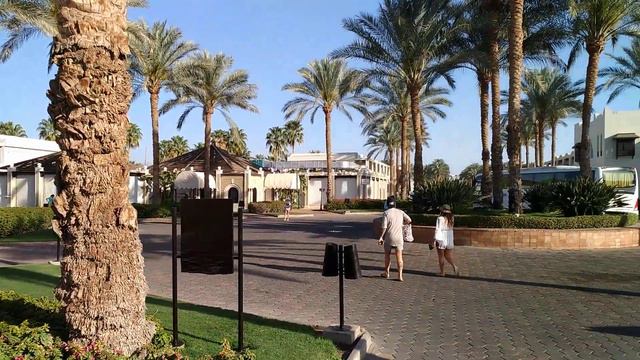 SENTIDO Reef Oasis Senses Resort смотреть онлайн