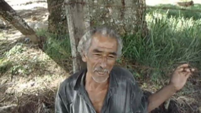 Luis Fernando Montoya "MACARNADA" смотреть онлайн