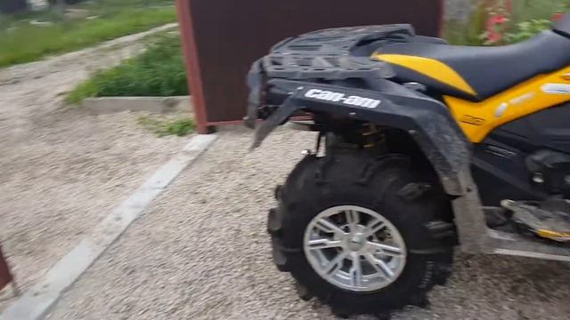 Купил 30 ую Горилу и 14 диски!