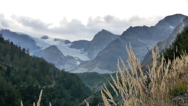 Рецепты с Подробным Описанием